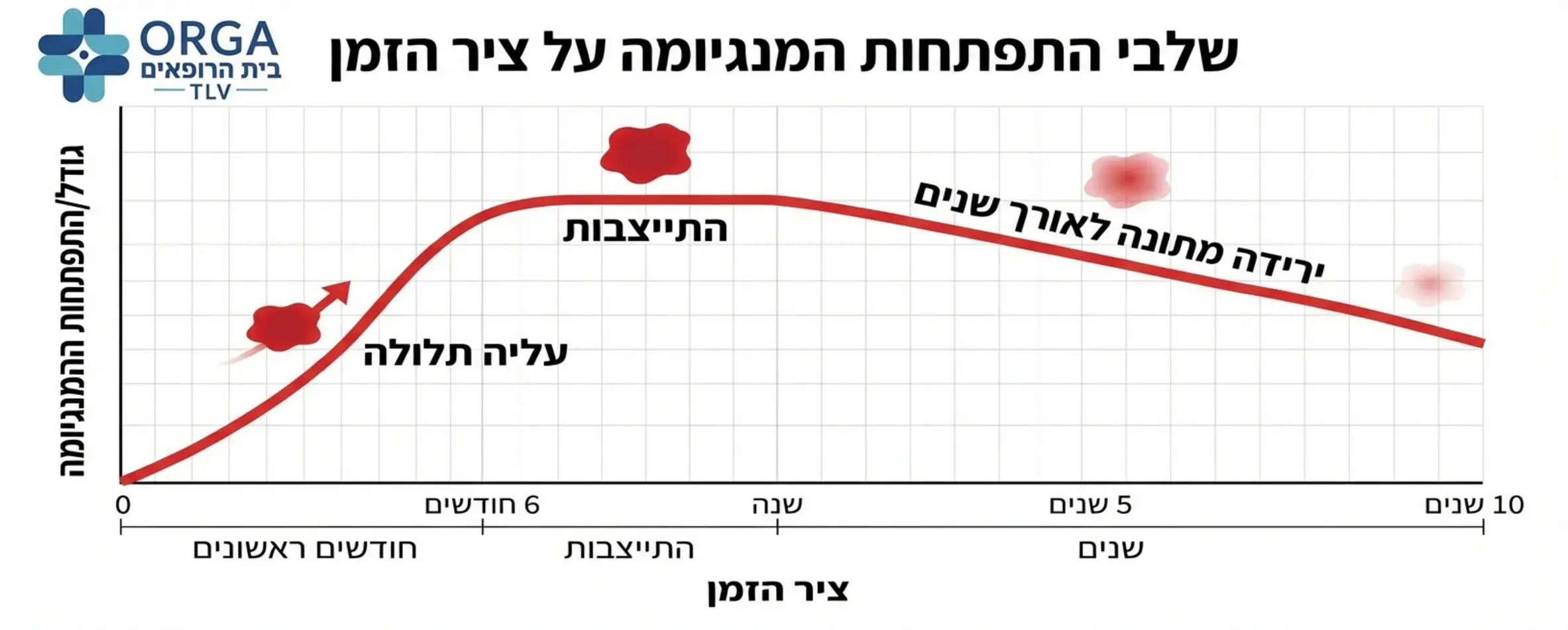 גרף לינארי הממחיש את שלבי ההתפתחות של המנגיומה על ציר הזמן: עליה תלולה בחודשים הראשונים, התייצבות, וירידה מתונה לאורך שנים