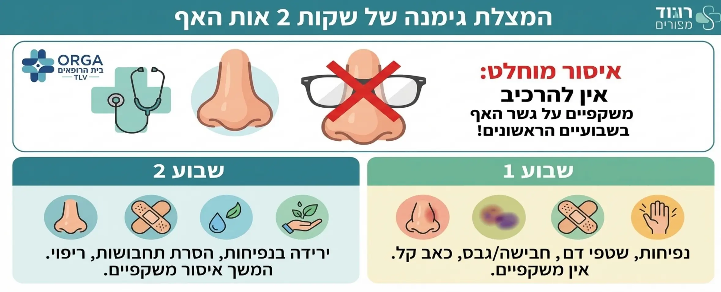 אינפוגרפיקה המחלקת את שלבי ההחלמה של האף לשבועיים הראשונים עם דגש על איסור הרכבת משקפיים על האזור המטופל