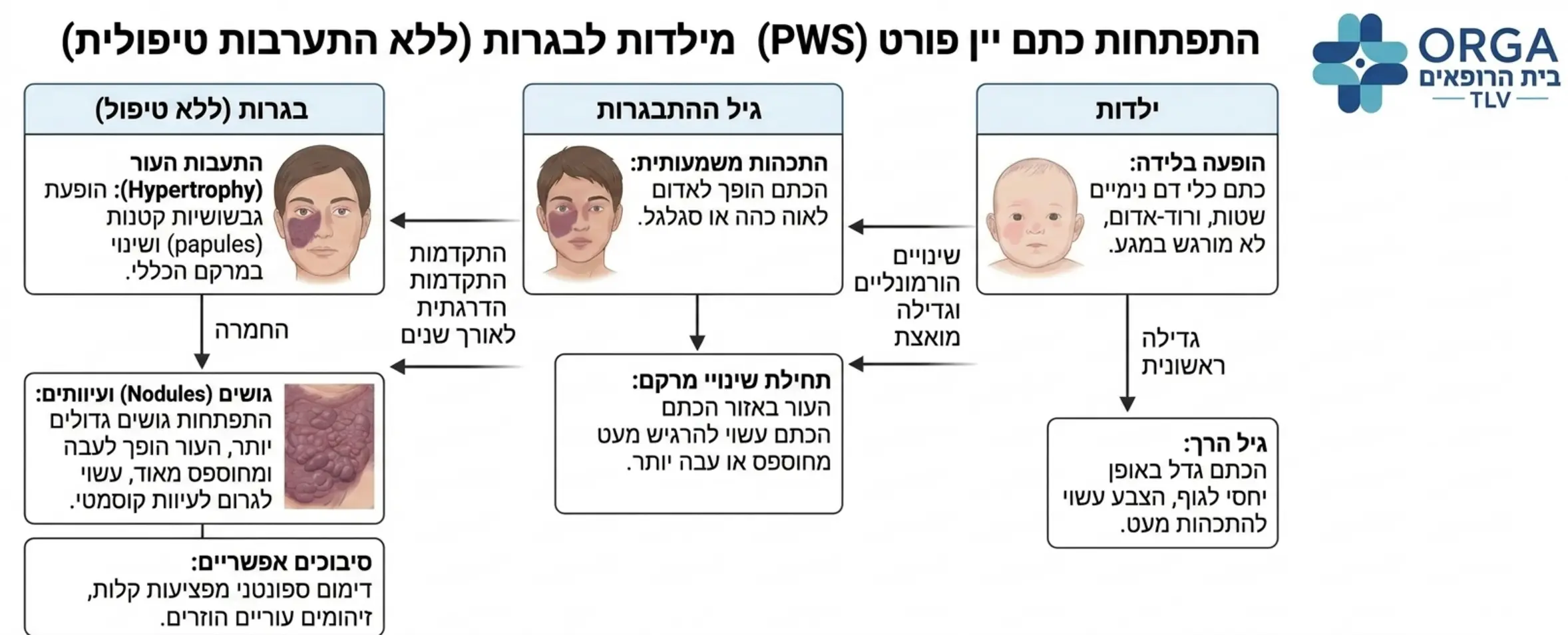 תרשים זרימה המציג את שלבי ההתפתחות של כתם יין פורט מילדות ועד בגרות כולל שלבי ההתעבות של העור במידה ואין התערבות טיפולית