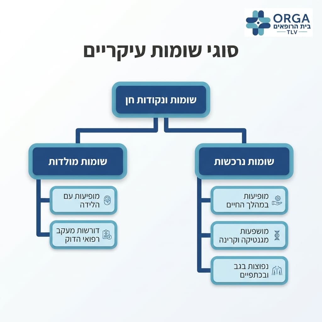 אינפוגרפיקה