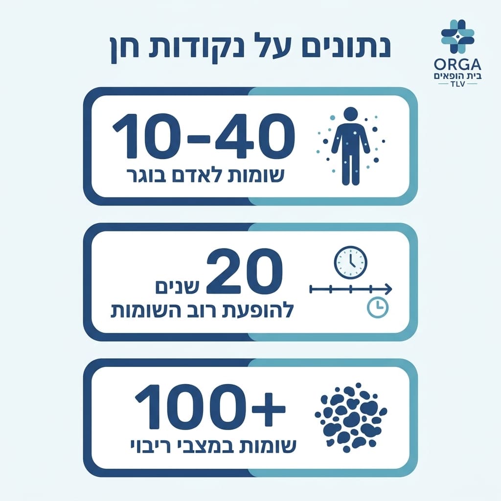 אינפוגרפיקה