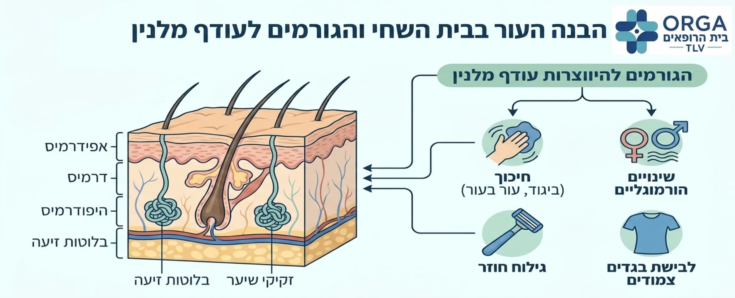 אינפוגרפיקה המציגה את שכבות העור בבית השחי ואת הגורמים השונים להיווצרות עודף מלנין, כולל אייקונים המייצגים חיכוך, שינויים הורמונליים, גילוח חוזר ולבישת בגדים צמודים